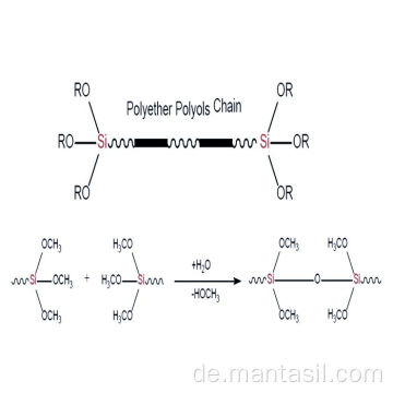 Silan terminierte Polyether